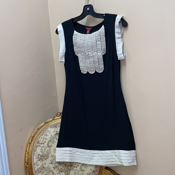 Ted Baker SILK Dress - Picture 11 of 13